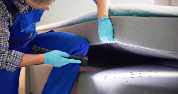 Best Pest Control Near Me  in St Marys, PA